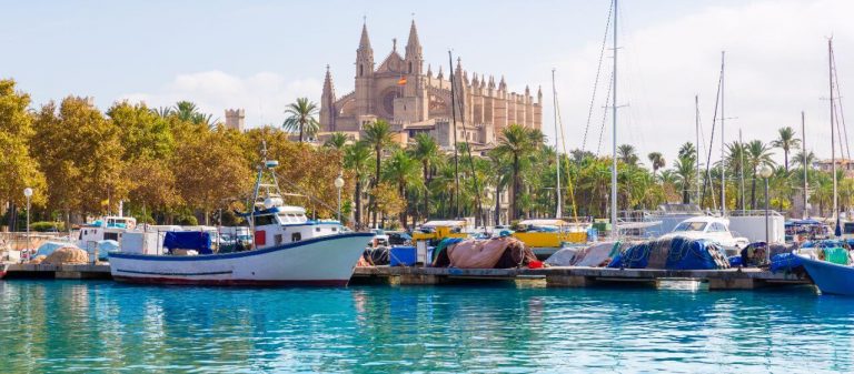 catedral de mallorca
