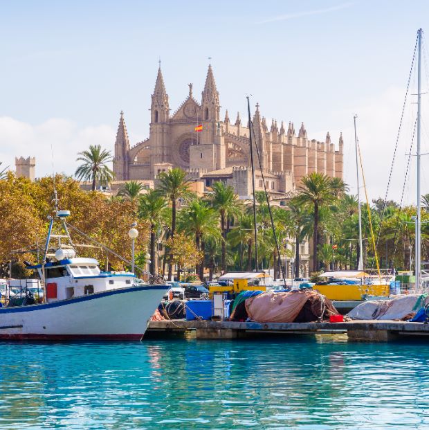 catedral-mallorca