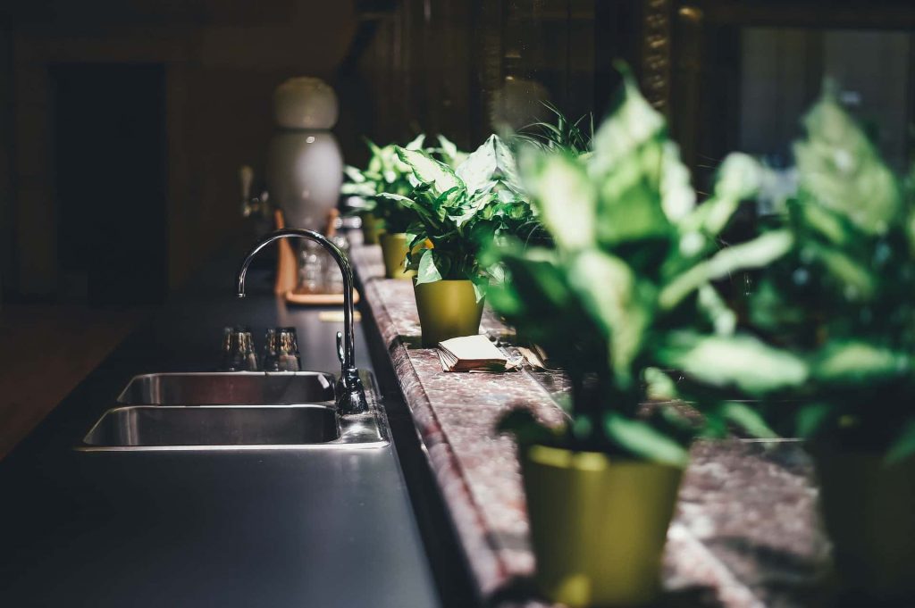 Encimera de cocina con fregadero de acero y plantas de interior alineadas junto a la ventana