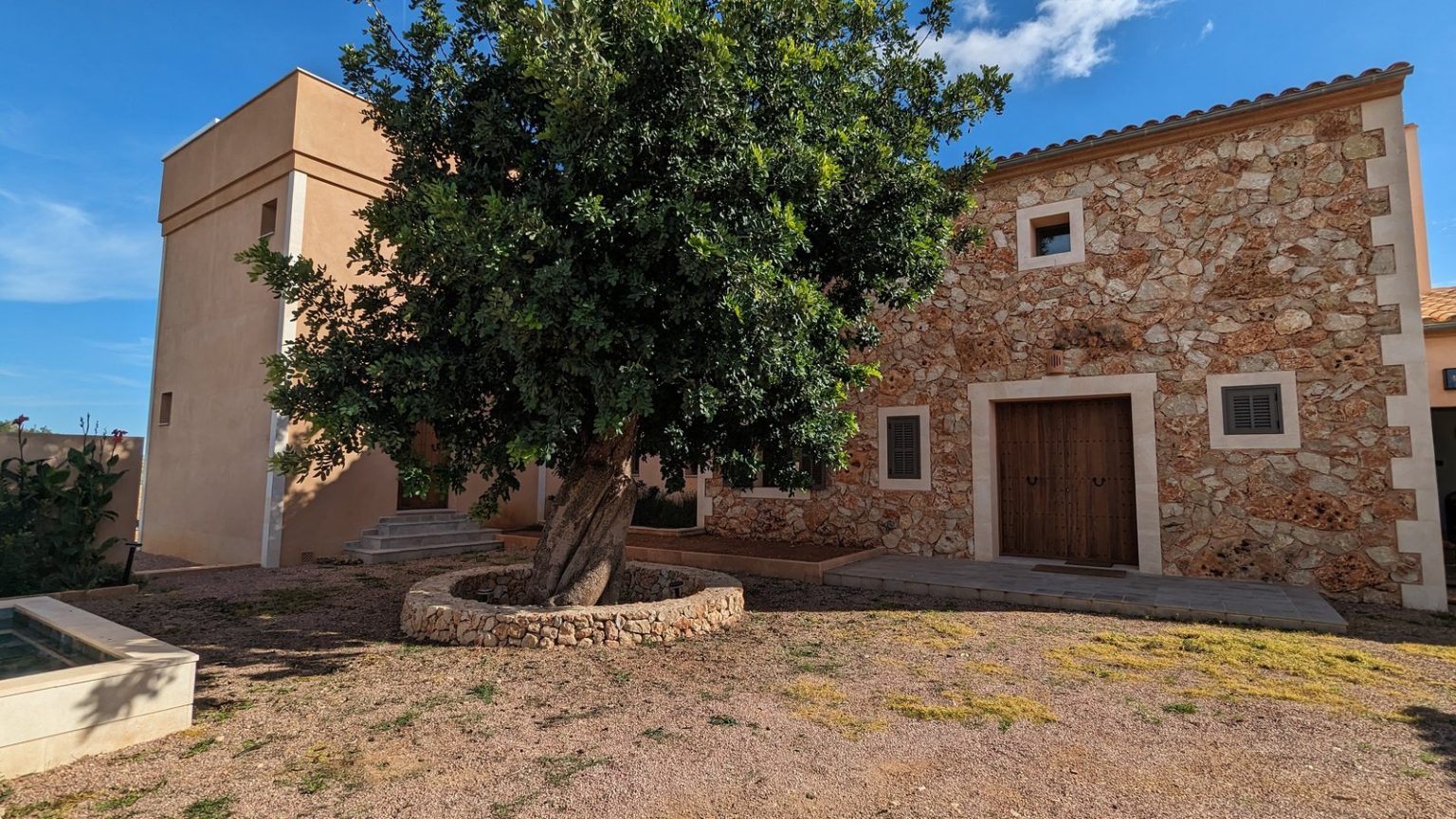Fachada de piedra de una finca reformada en Campos, Mallorca, con árbol centenario y piscina