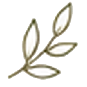Symbol eines handgezeichneten Olivenzweigs